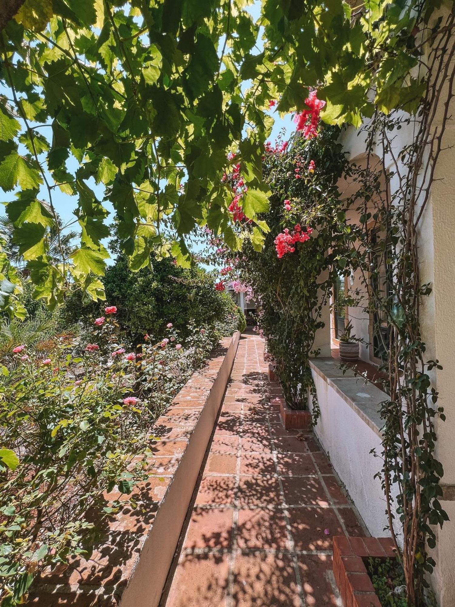 Willa Quinta De Sao Pedro De Tomar Zewnętrze zdjęcie
